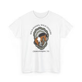 Chincoteague Ponies & Oysters Tee