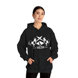 Delaware Pirate Hoodie Shirt