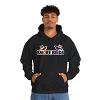 Baltimore Birds Unisex Hooded Sweatshirt
