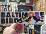 Baltimore Birds