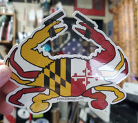 Maryland Flag Crab 45