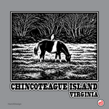 Chincoteague Island Pony and Bird T-Shirt — Nature Tee