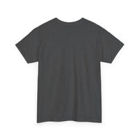 Don't Mess with Delaware Unisex Heavy Cotton Tee