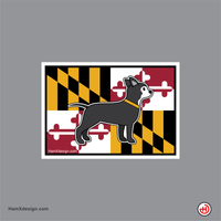 Maryland Flag Dog - Chihuahua 2