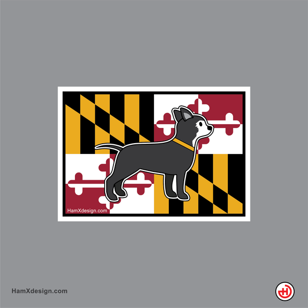 Maryland Flag Dog - Chihuahua 2