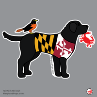 Maryland Pup - Black Lab Magnet