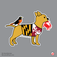 Maryland Pup - Chihuahua Design 2 Magnet