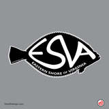 Eastern Shore of Virginia (ESVA) Flounder
