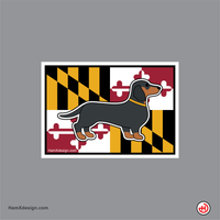 Maryland Flag Dog - Dachshund